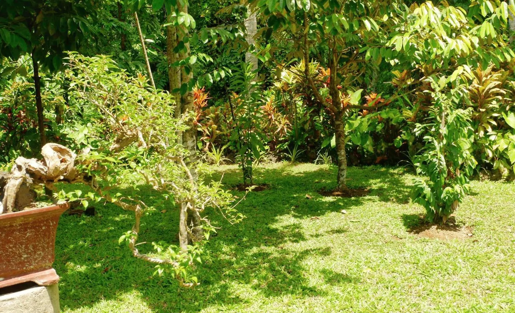 Artja Inn Ubud  0*, Ubud (Bali) Indonesia